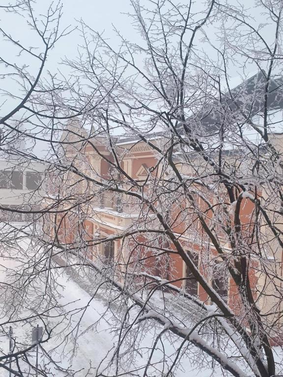 Winter view from the window over the Old Town